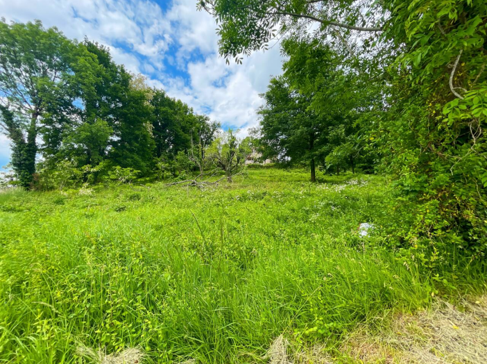 Terrain de 4343m²