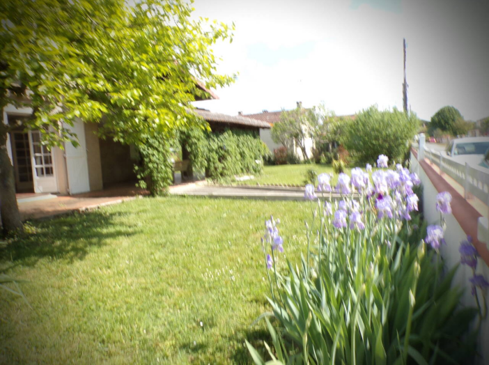 Image 20