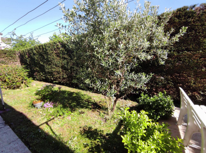 Image 13