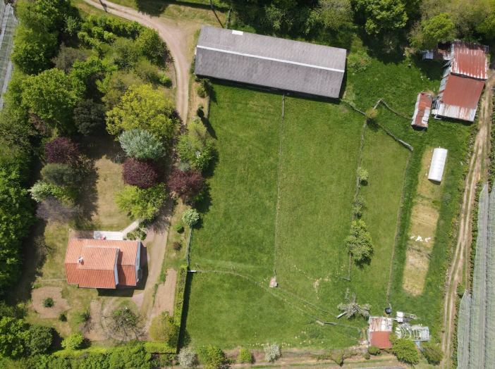 Image 9