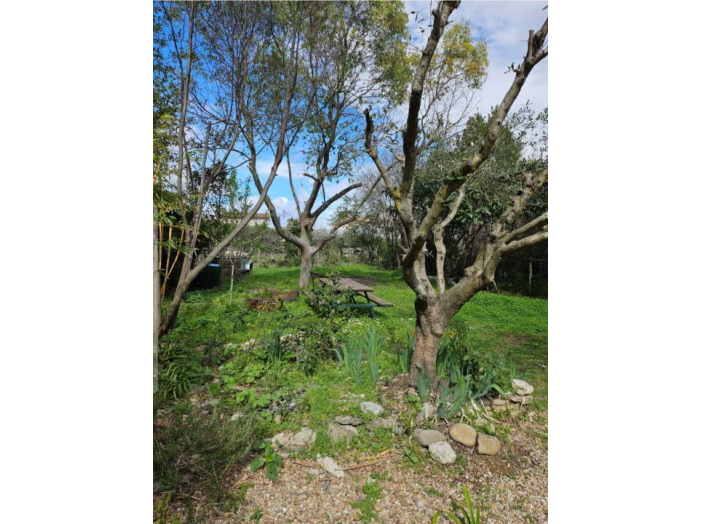 Image 18