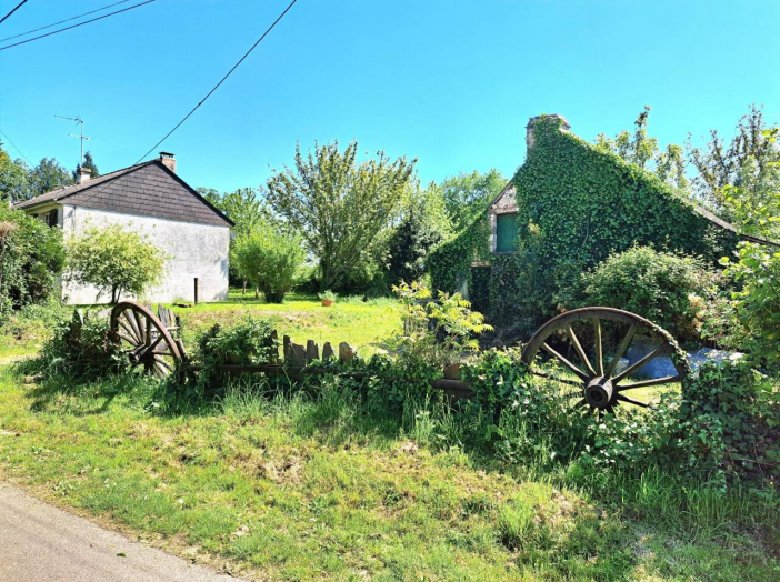 Image 12