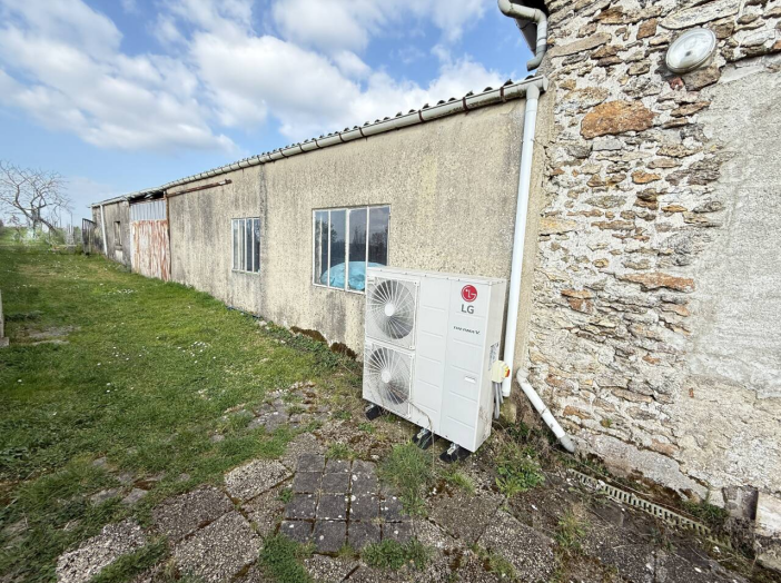 Image 13
