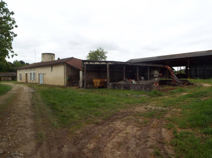 Image 4