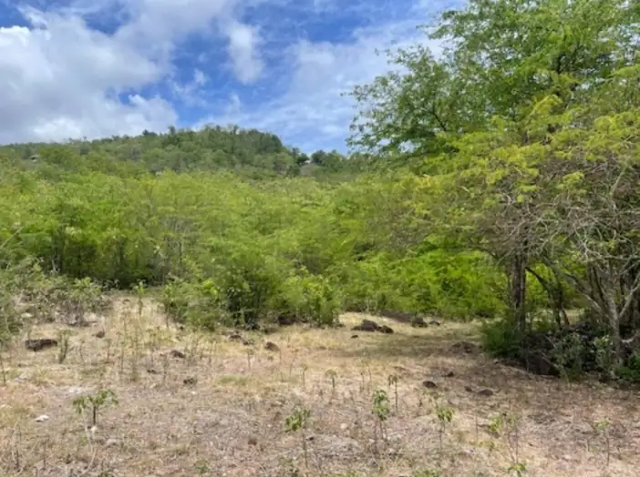 Terrain de 960 m² - Bouillante (97125)