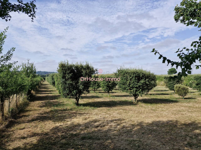 Terrain de 14000m²