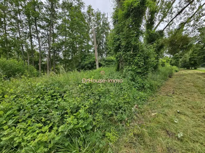 Terrain de 238 m² - Cepoy (45120)