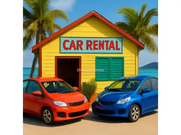 Commerce de 50 m² - Saint-Martin (97150)