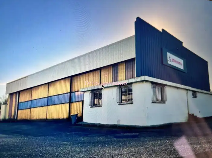 Bureau 4 pièces de 1 250 m² - Saint-Romain-de-Colbosc (76430)