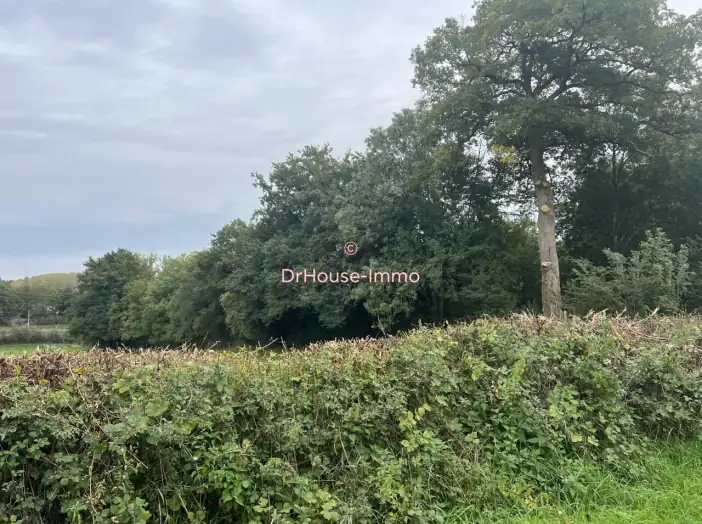 Terrain de 5 370 m² - Sarzay (36230)