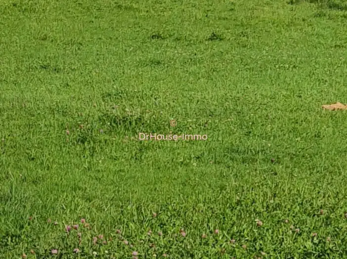 Terrain de 1 089 m² - Angeot (90150)