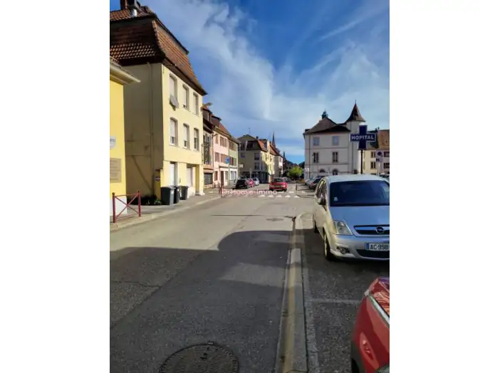 Appartement 3 pièces de 54 m² - Thann (68800)