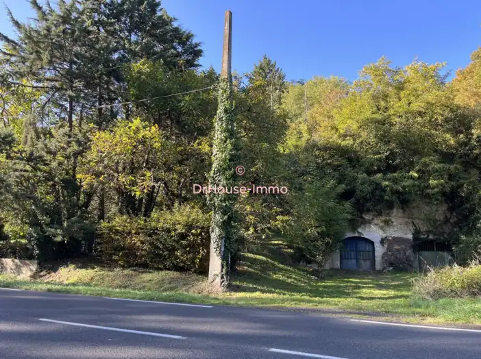 Bien immobilier 1 pièce de 82 m² - Langeais (37130)