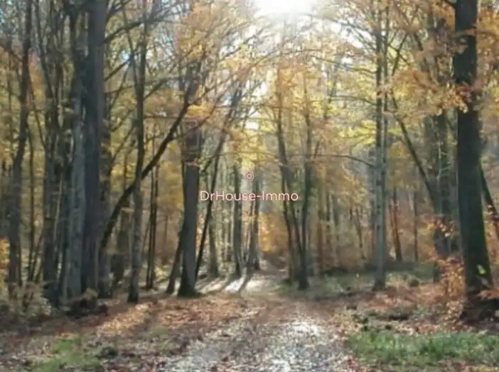 Maison 2 pièces de 85 m² - Pargny-sous-Mureau (88350)