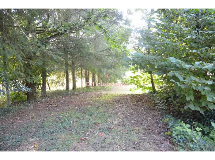 Terrain de 1 590 m² - Bussière-Galant (87230)