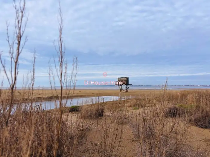 Image des la section Servies