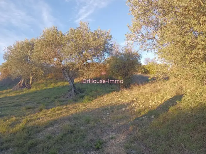 Terrain de 11 290 m² - Valensole (04210)