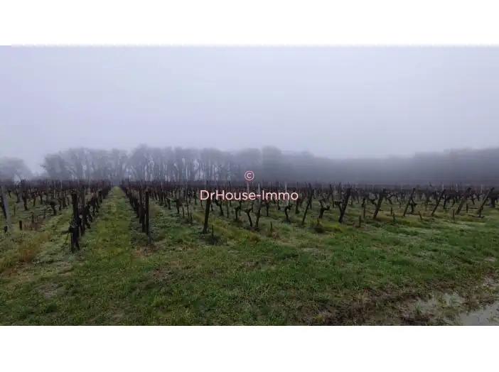 Terrain de 42 750 m² - Saint-Sulpice-de-Faleyrens (33330)