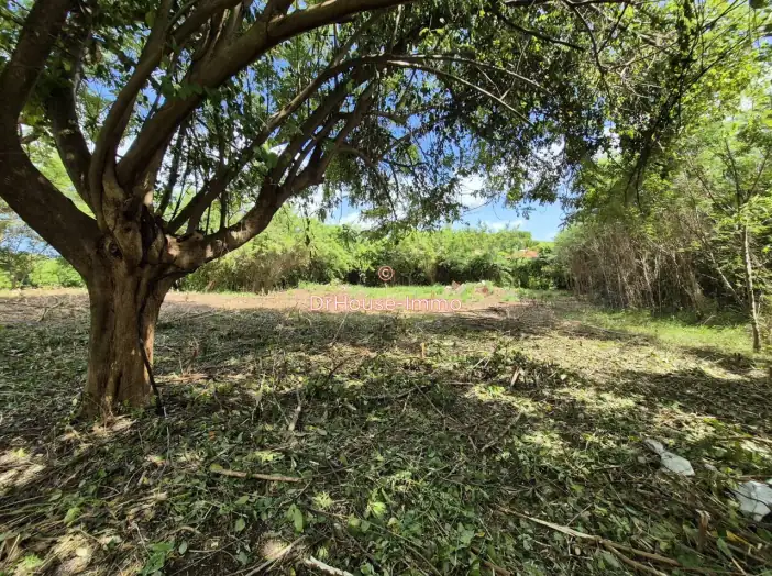 Terrain de 1 299 m² - Vauclin (97280)