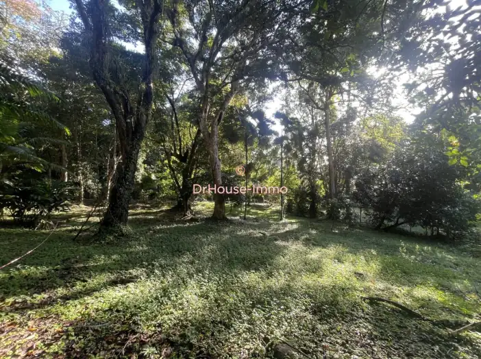 Terrain de 813 m² - Bouillante (97125)