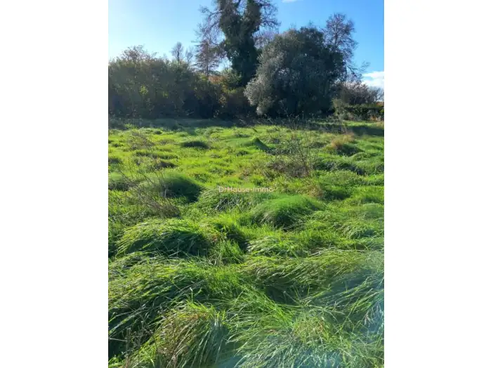 Terrain de 812 m² - Civrac-en-Médoc (33340)