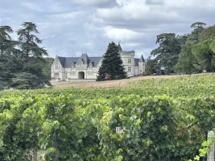 Château 19 pièces de 447 m² - Saïx (86120)
