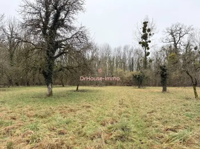 Terrain de 4 219 m² - Val-d'Auzon (10220)