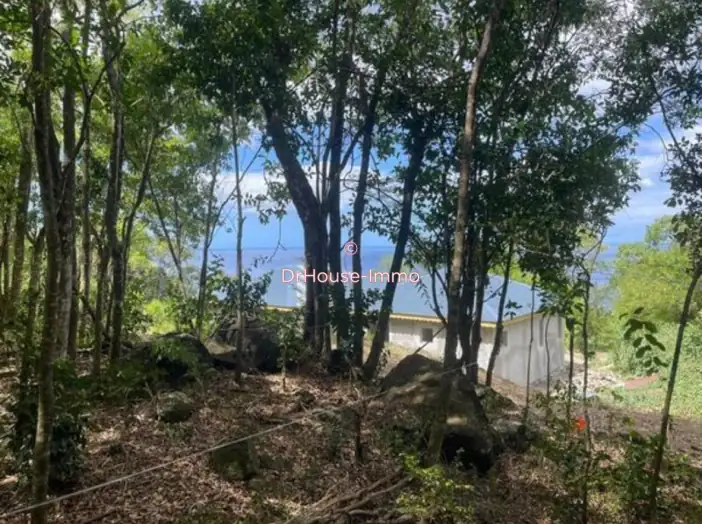 Terrain de 500 m² - Bouillante (97125)