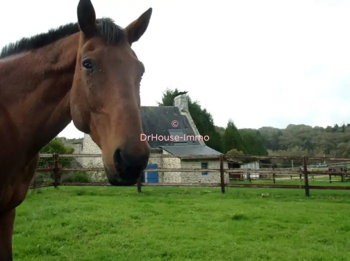 Terrain de 25 150 m² - Radenac (56500)