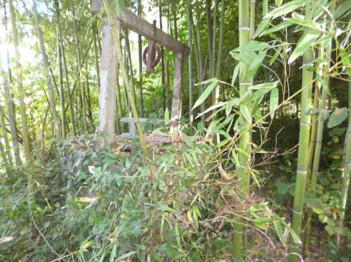 Image des la section Servies