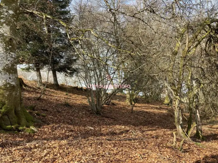 Terrain de 6 780 m² - Montsauche-les-Settons (58230)