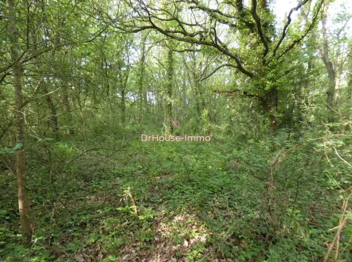 Terrain de 1 591 m² - Bourcefranc-le-Chapus (17560)