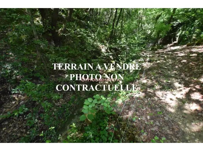 Image des la section Servies