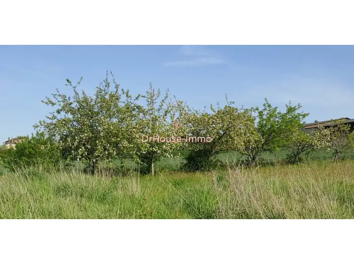 Terrain de 4 260 m² - Lévignac-de-Guyenne (47120)