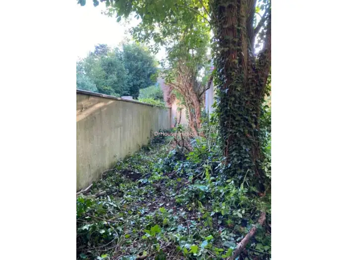 Image des la section Servies