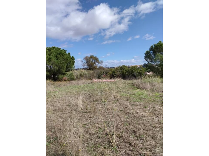 Terrain de 726m²