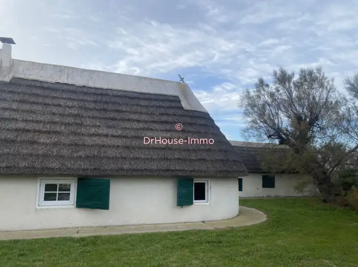 Image des la section Servies