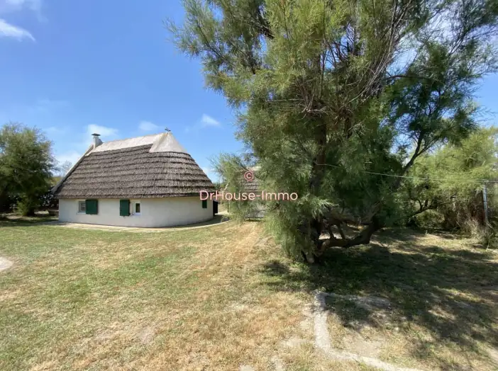 Maison 4 pièces de 62 m² - Saintes-Maries-de-la-Mer (13460)