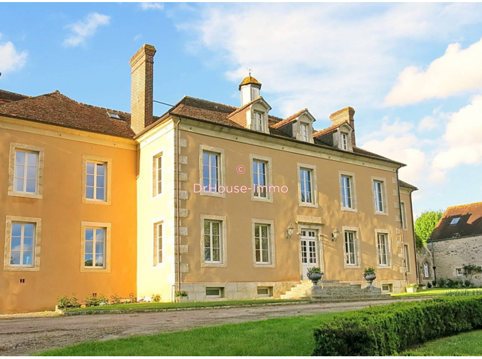 Hôtel particulier de 555m² - 12 pièces