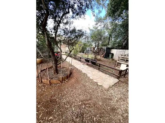 Image des la section Servies