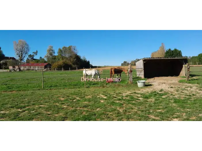 Maison 7 pièces de 185 m² - Saint-Rémy-la-Vanne (77320)