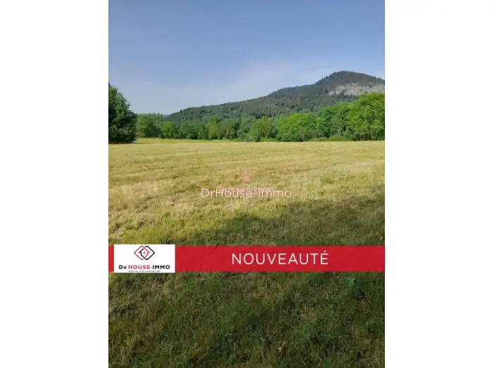 Terrain de 16 975 m² - Rosières (43800)