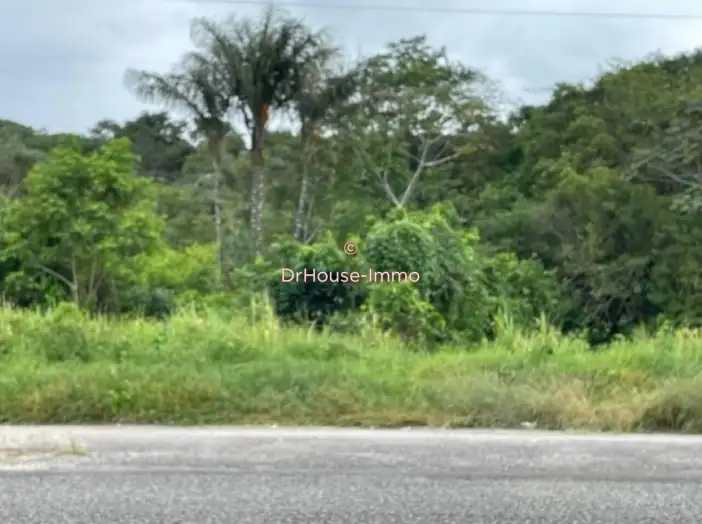 Terrain de 963 m² - Roura (97311)