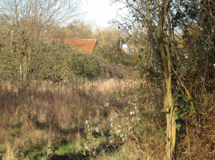 Terrain de 1750m²
