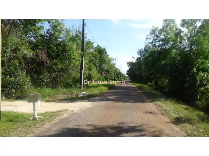 Terrain de 15 000 m² - Matoury (97351)