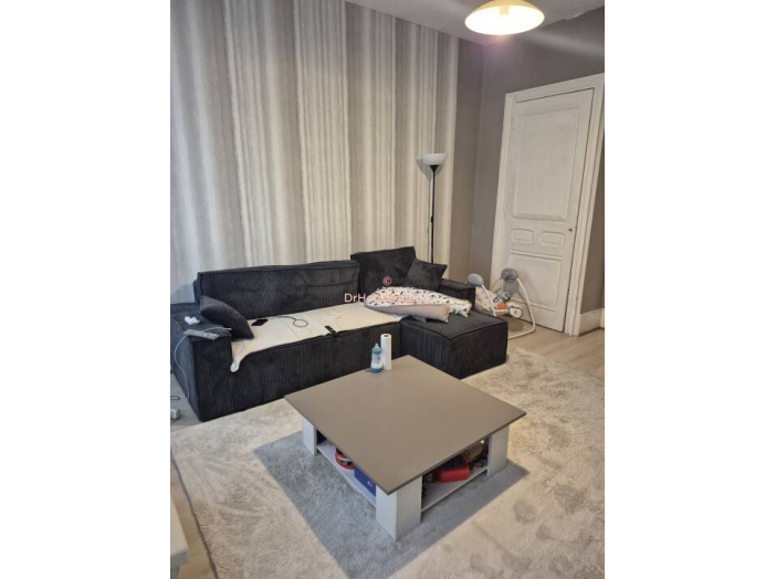 Appartement 3 pièces de 65 m² - Le Chambon-Feugerolles (42500)