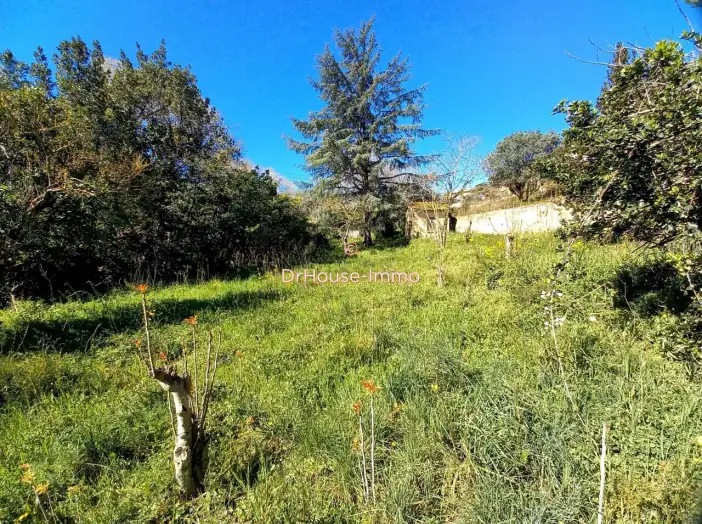 Terrain de 1 555 m² - Collioure (66190)