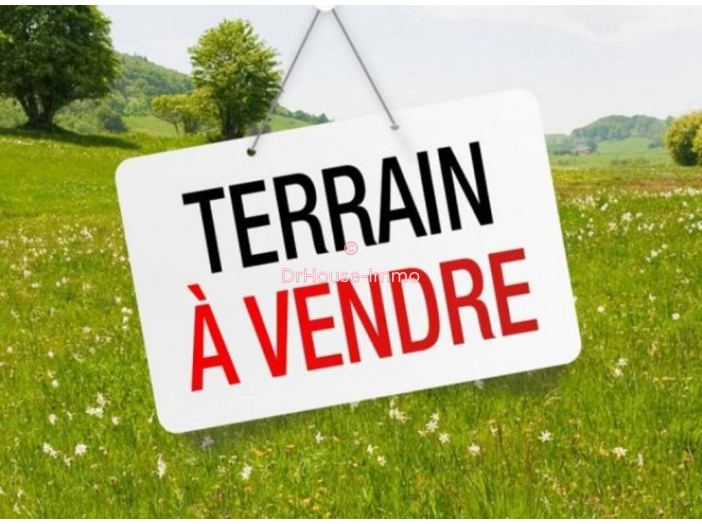 Terrain