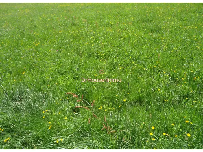 Terrain de 580 m² - Buschwiller (68220)