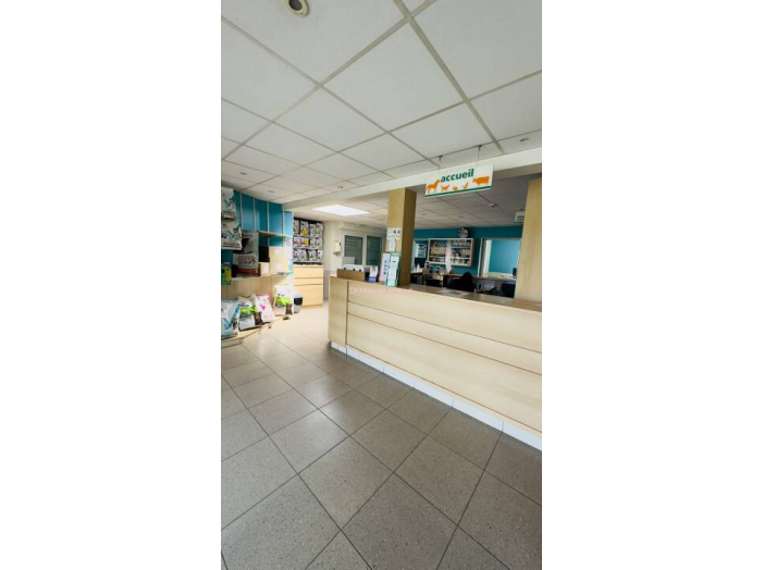 Immeuble commercial de 313m²
